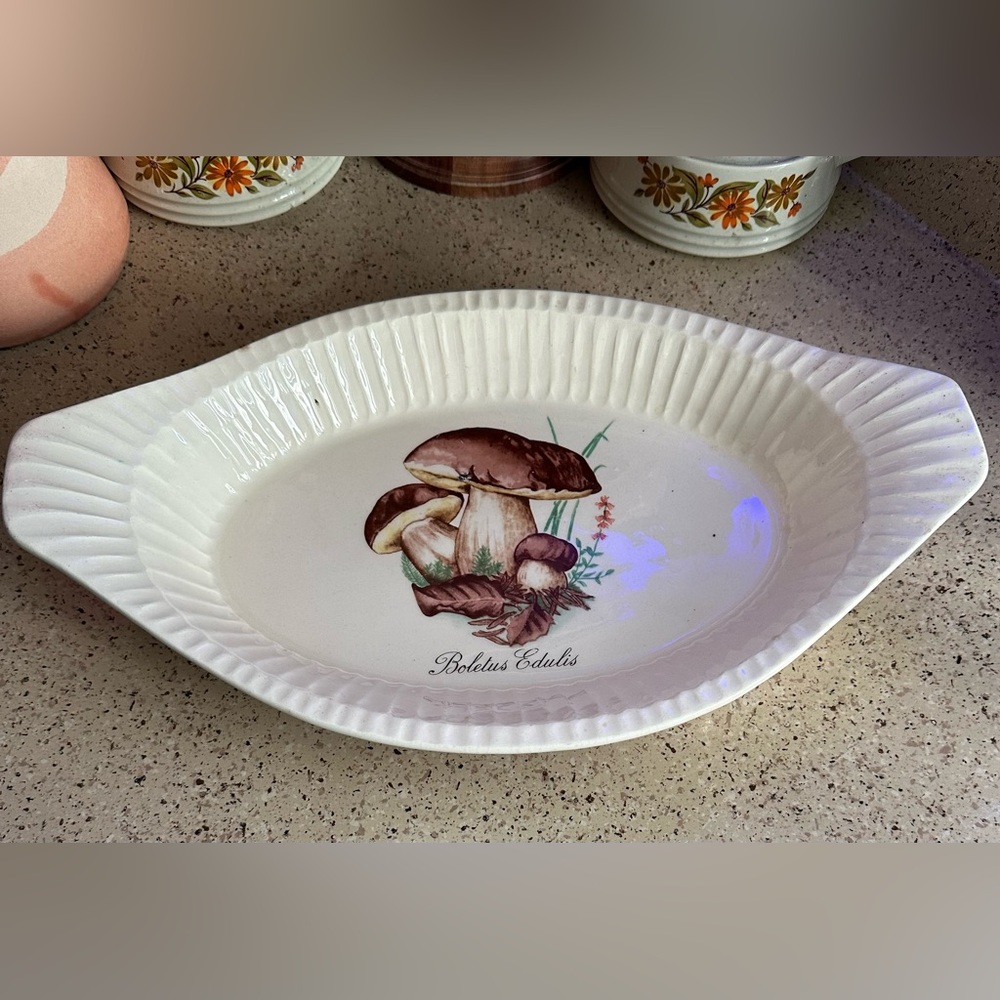 Vintage treasure craft mushroom’s Ovenwear